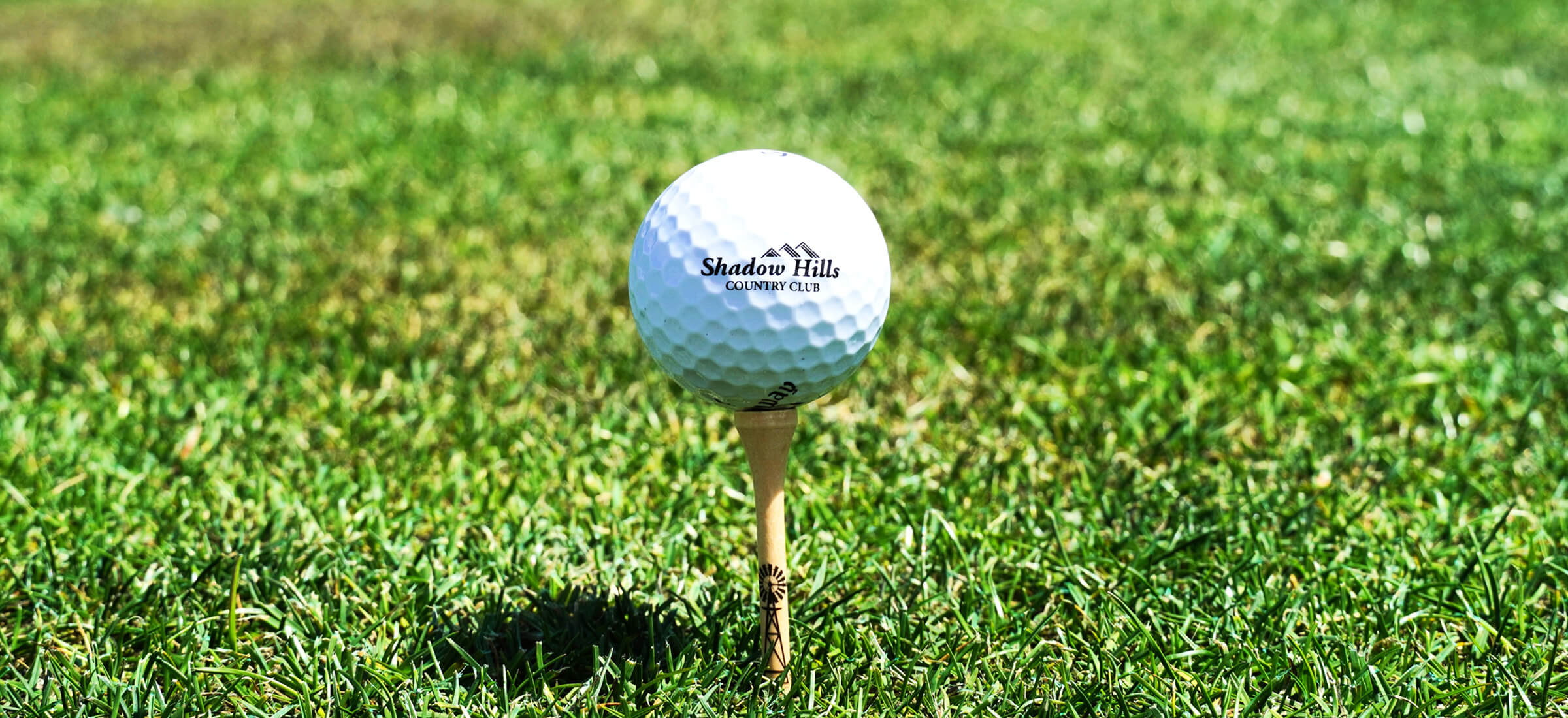 golf ball on tee